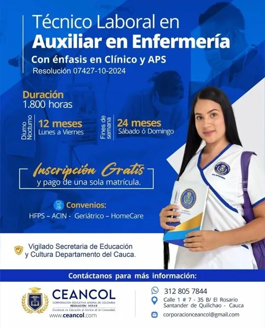 Flayer Técnico Laboral en Auxiliar Enfermeria